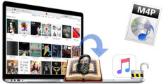 itunes drm audio converter