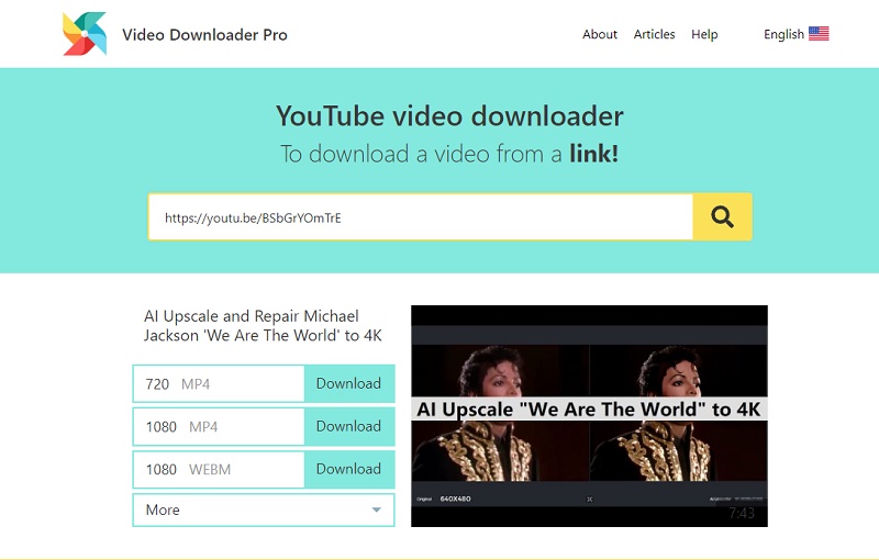 video downloader pro